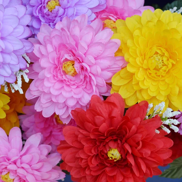 Фон Красивих Барвистих Квітів — стокове фото