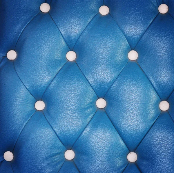 Textura Pele Azul — Fotografia de Stock