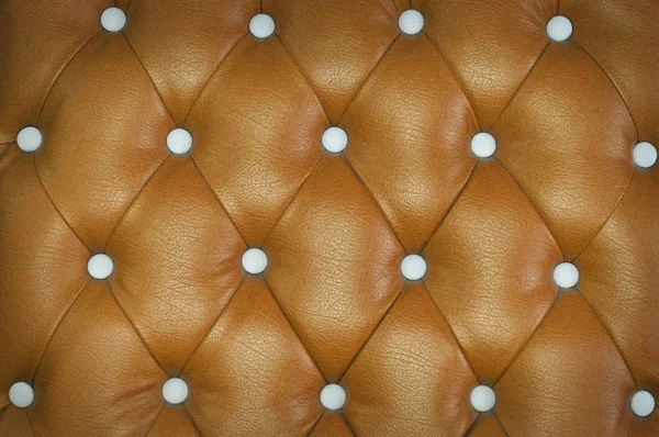 Textura Piel Marrón — Foto de Stock