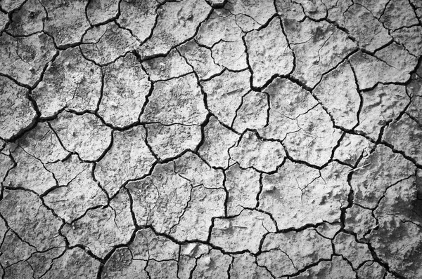 details of Dry cracked soil