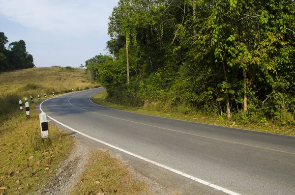 Güzel yaz manzarası Dağlarda bir yol