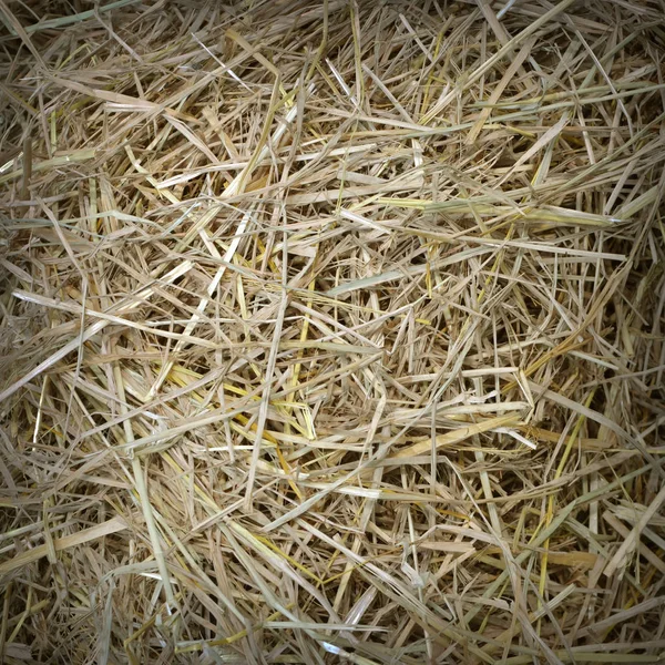 stock image straw and hay texture background