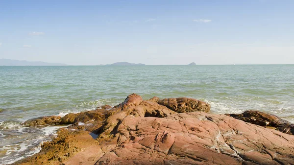 plaj ve tropikal deniz