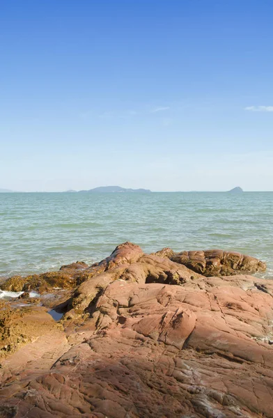 plaj ve tropikal deniz