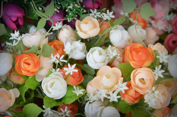 Fundo Das Belas Flores Coloridas — Fotografia de Stock