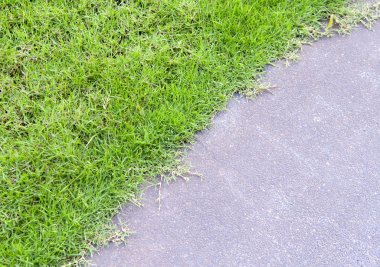 grass and road texture close-up
