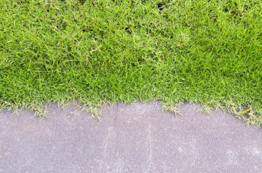 grass and road texture close-up