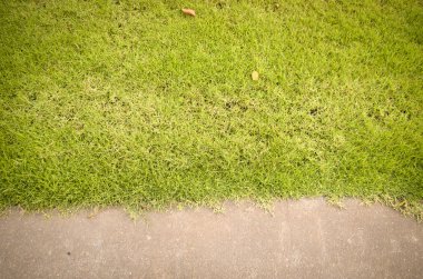 çimen ve yol dokusu yakın plan