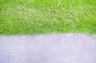 çimen ve yol dokusu yakın plan