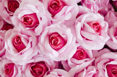 Demet çiçek, resim için resim