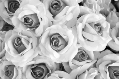 Demet çiçek, resim için resim