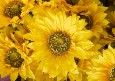 Çiçeklerin soyut arkaplanı