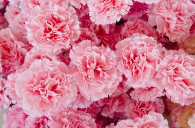 Gül çalılı düğün buketi, arka planda Ranunculus asiaticus