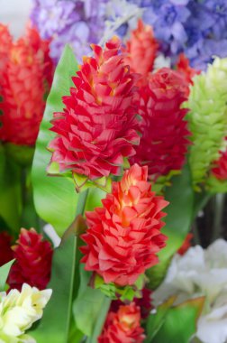 Güzel renkli çiçekler, sanat için resim