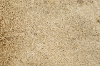 Rhino cilt doku arka plan