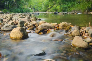 yosunlu kayalar üzerinde çalışan orman akarsu