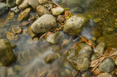 yosunlu kayalar üzerinde çalışan orman akarsu