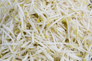 yakın çekim için fasulye filizi arka plan