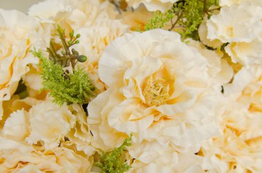 Çiçeklerin soyut arkaplanı. Yakın plan..