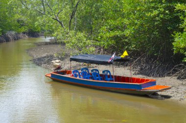 Mangrove Ormanı 'nın, Tayland' ın ve klasik filtrelerin arasındaki ahşap yol.