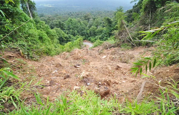 laan hin pum viewpoint phu hin rong kla Milli Parkı, phitsanulok, Tayland.