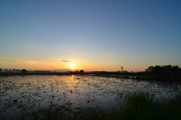 Coucher Soleil Avec Beau Ciel Sur Lac Thaïlande — Photo