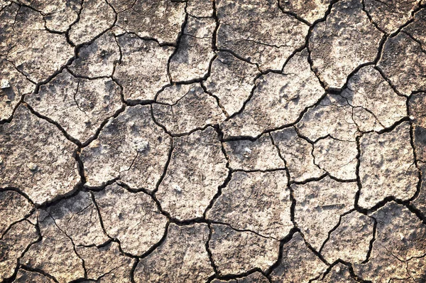 Detalles Suelo Seco Agrietado — Foto de Stock