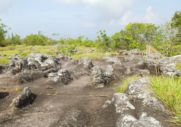 laan hin pum viewpoint phu hin rong kla Milli Parkı, phitsanulok, Tayland.