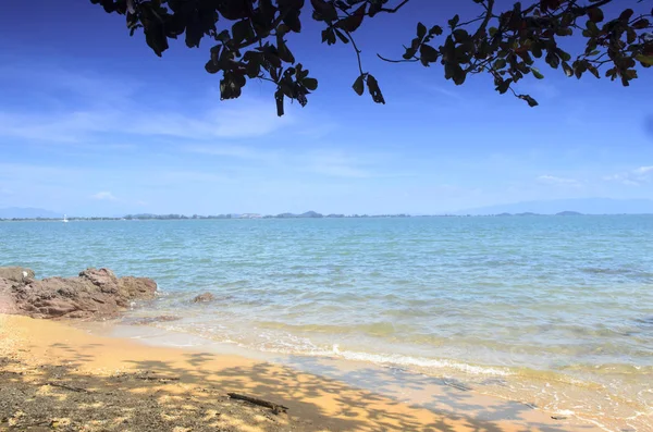 plaj ve tropikal deniz