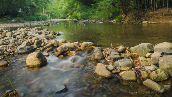 Fluxo Florestal Sobre Rochas Musgosas — Fotografia de Stock