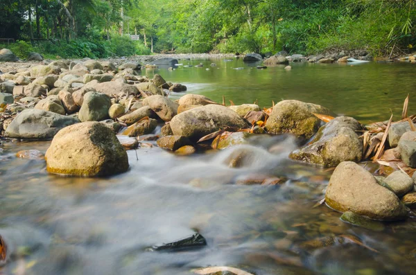 yosunlu kayalar üzerinde çalışan orman akarsu