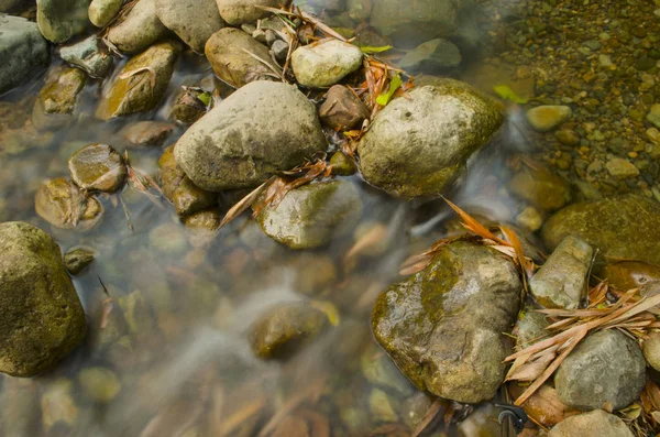 yosunlu kayalar üzerinde çalışan orman akarsu