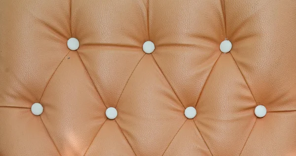 deri kanepe dokusu arka plan