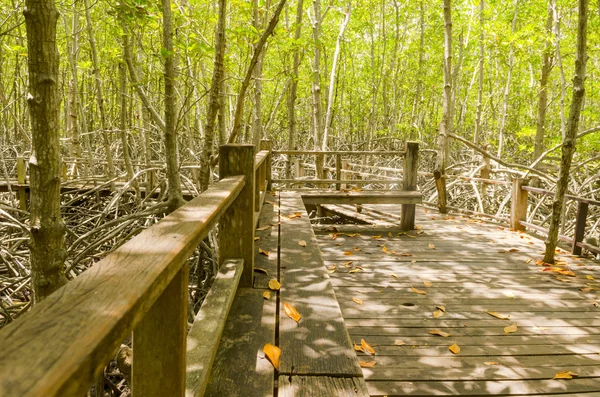 Wood path way among the Mangrove forest, Thailand,vintage filter