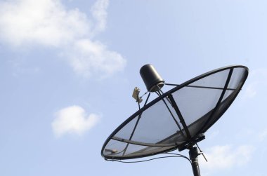 Mangrove Ormanı 'nın, Tayland' ın ve klasik filtrelerin arasındaki ahşap yol.