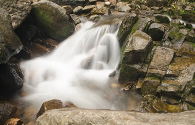 Ormanda güzel bir şelale