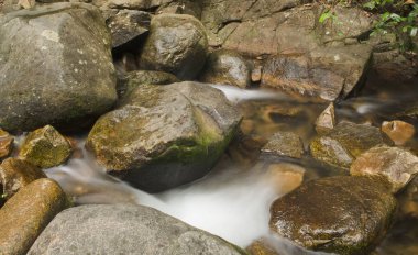 Ormanda güzel bir şelale
