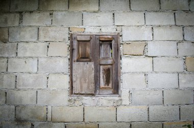 Devekuşu kafa closeup, vintage filtre görüntü