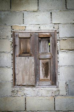 Devekuşu kafa closeup, vintage filtre görüntü