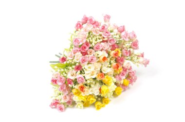 Çiçekler beyaz izole grup