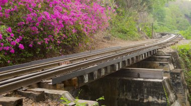 Demiryolu katılım Özet görünümü