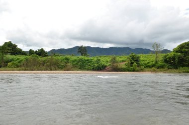 Tayland 'da tropikal orman