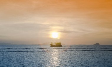 plaj ve tropikal deniz, 