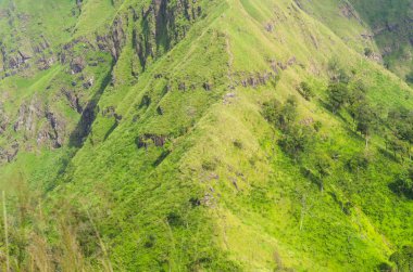 Büyük dağlarda güzel yaz peyzaj