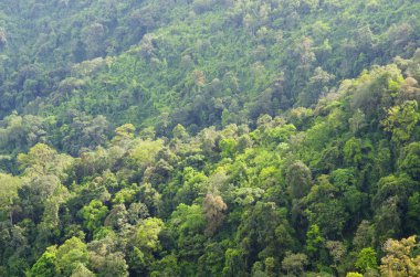 Güzel dağ manzarası Tayland
