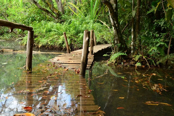 derin orman şelale erawan şelale Milli Parkı kanjanaburi Tayland at