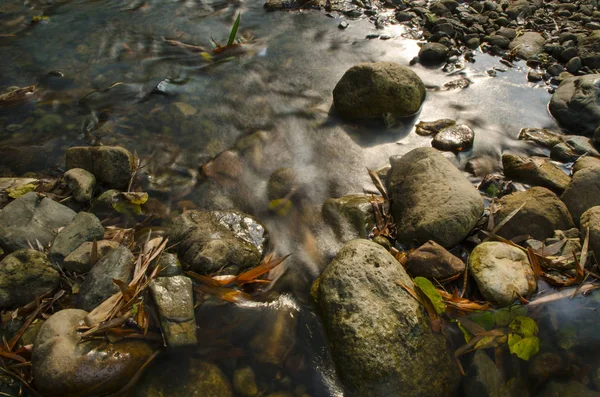 Forest Stream Running Mossy Rocks — Stock Photo, Image