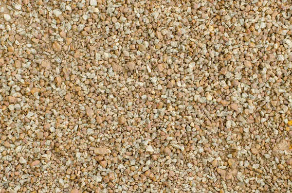 Devekuşu kafa closeup, vintage filtre görüntü