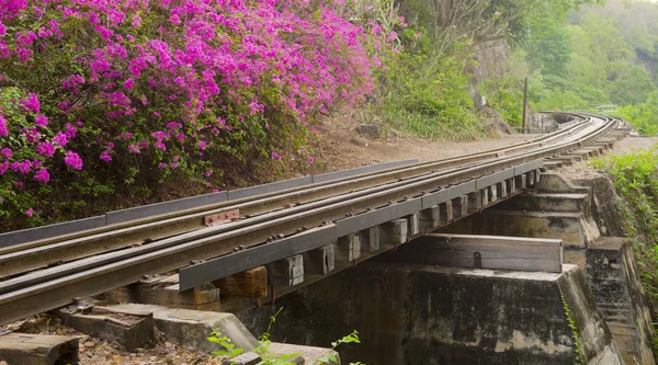 Demiryolu katılım Özet görünümü