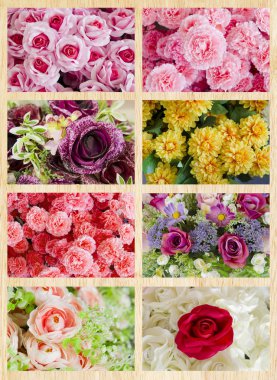 plaj ve tropikal deniz, 